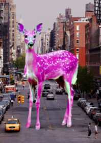 Bambi – Pink