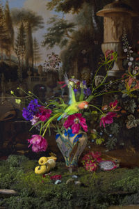 Still Life With Parrot & Butterfly