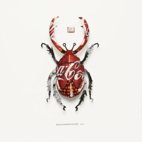 Coke Bull Beetle