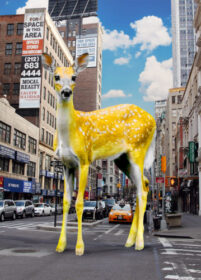 Bambi – Yellow