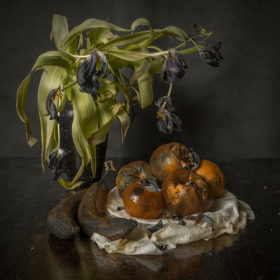 Still Life