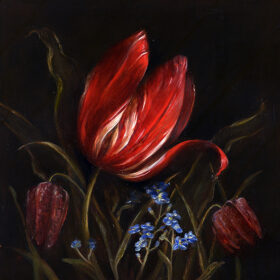 Summer Beauty – Dutch heritage tulip (1620) with F. meleagris and Forget-me-not