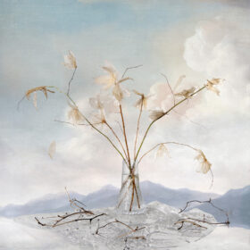 Vulnerable Nature