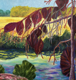 Ode to Jack Pine of Thomson I.