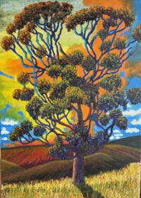 Pushing the borders along the Camino